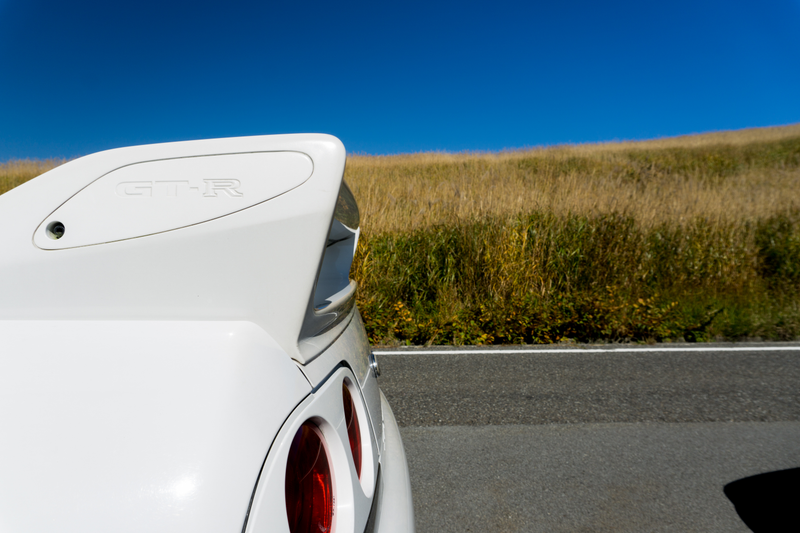 I like the subdued wing-side logo.